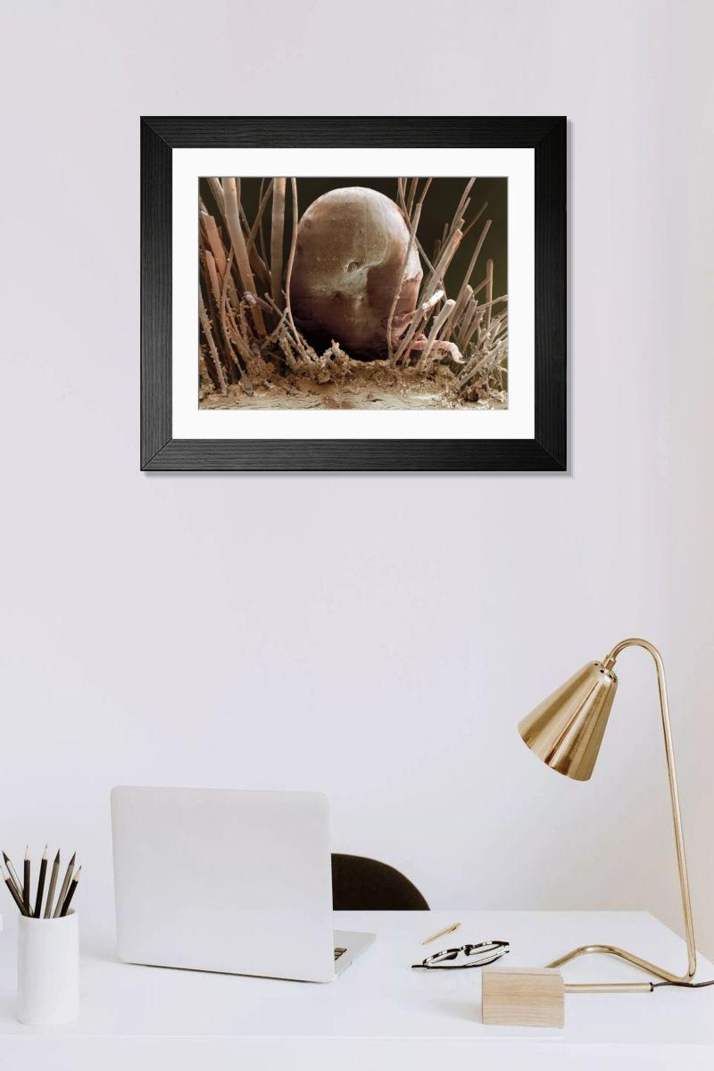 Shown hanging in a room: Modern 14"x12" (36x31cm)