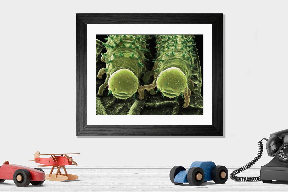 Shown hanging in a room: Modern 14"x12" (36x31cm)