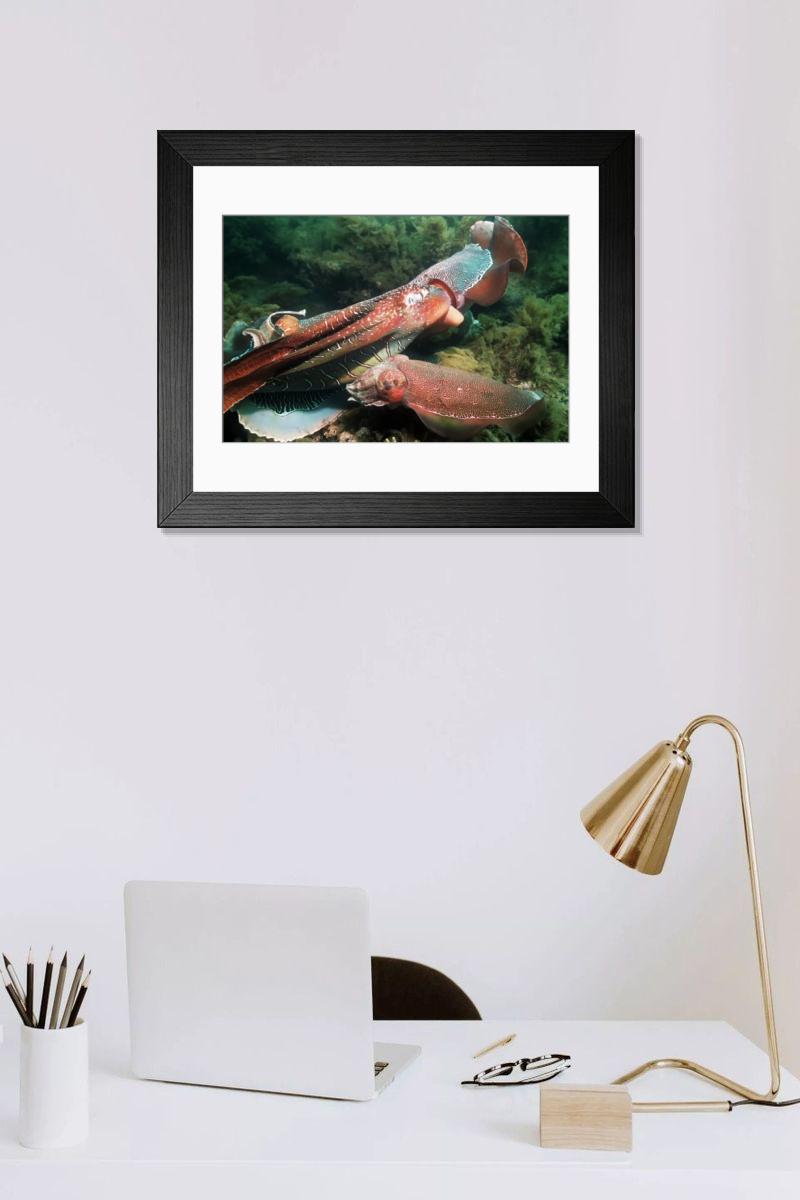 Shown hanging in a room: Modern 14"x12" (36x31cm)