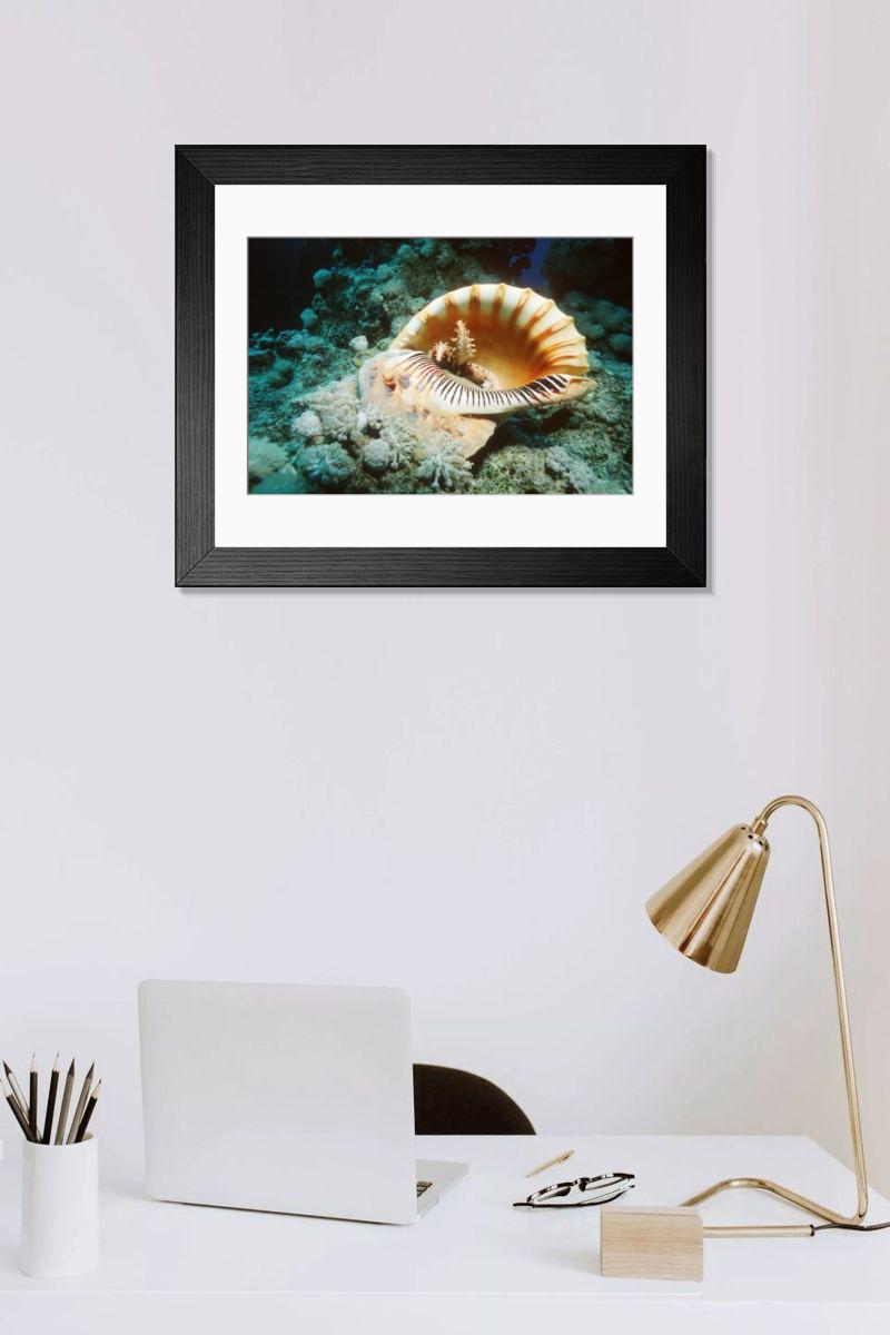 Shown hanging in a room: Modern 14"x12" (36x31cm)