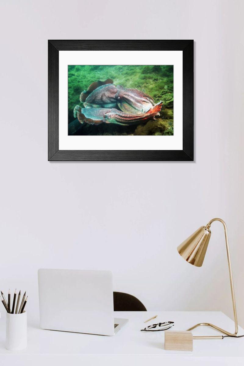 Shown hanging in a room: Modern 14"x12" (36x31cm)
