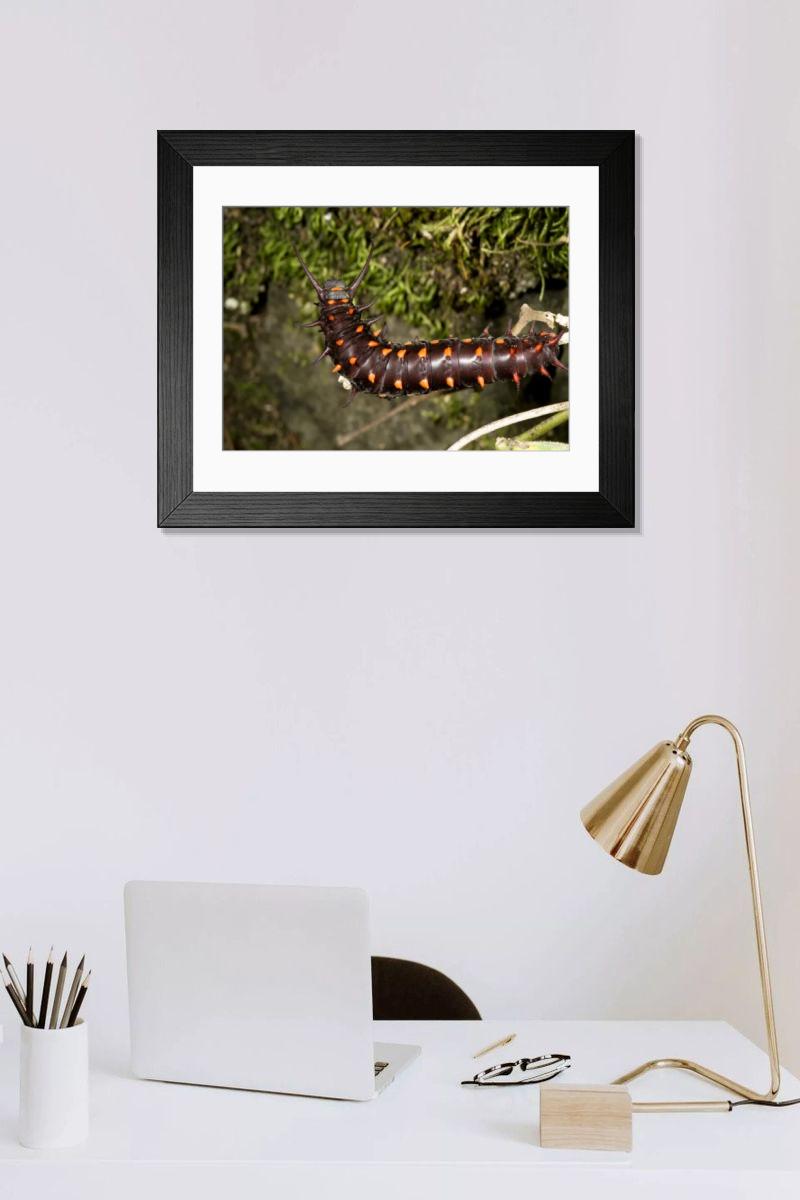 Shown hanging in a room: Modern 14"x12" (36x31cm)