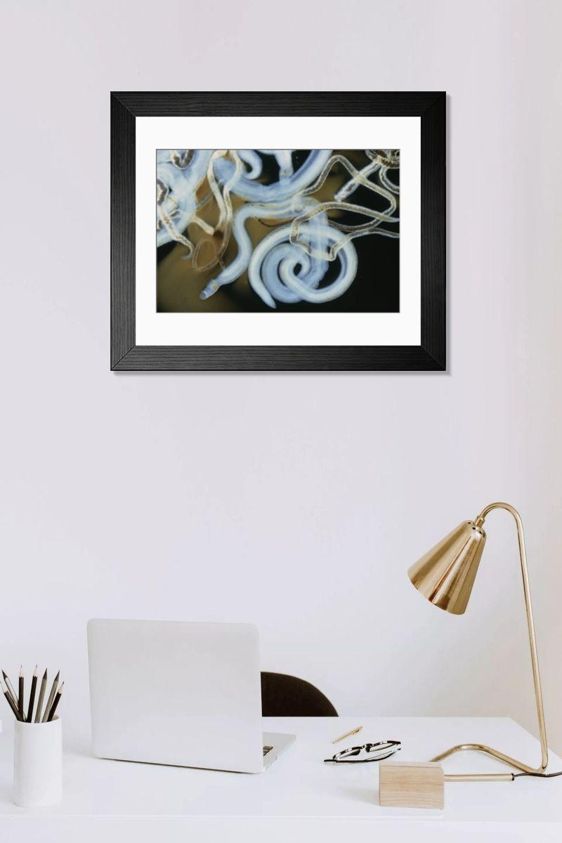 Shown hanging in a room: Modern 14"x12" (36x31cm)