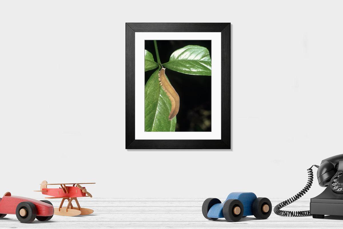 Shown hanging in a room: Modern 14"x12" (36x31cm)