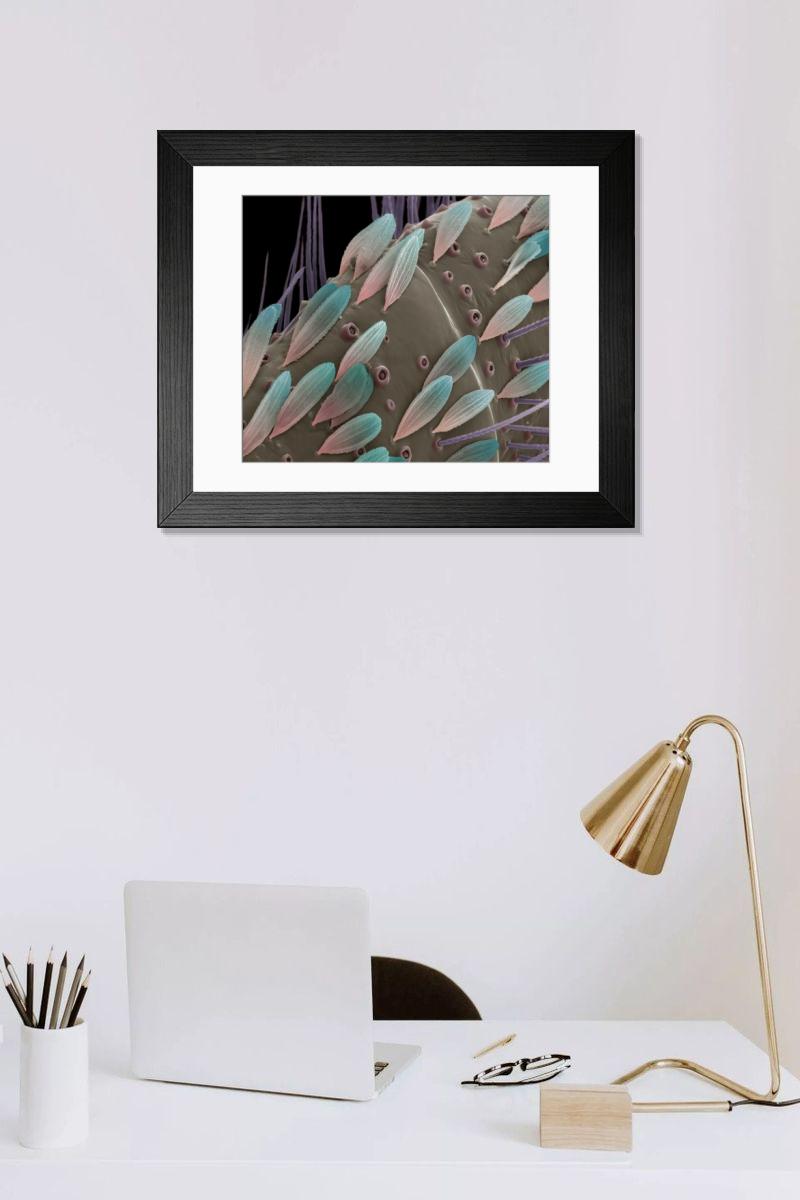 Shown hanging in a room: Modern 14"x12" (36x31cm)
