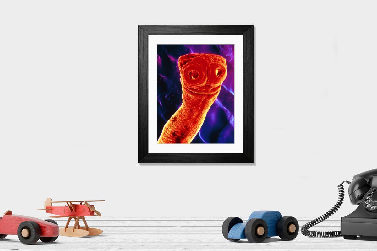 Shown hanging in a room: Modern 14"x12" (36x31cm)