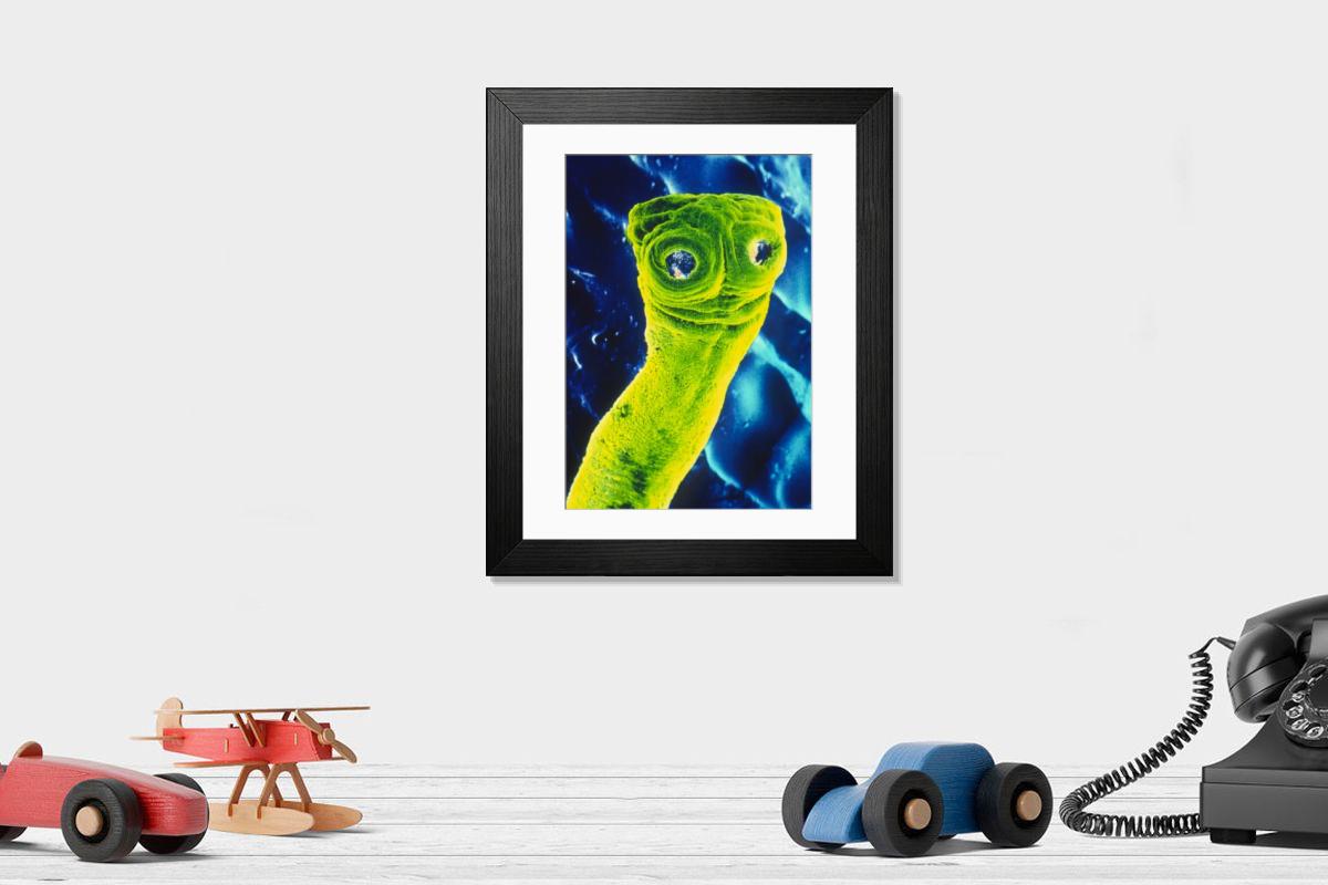 Shown hanging in a room: Modern 14"x12" (36x31cm)