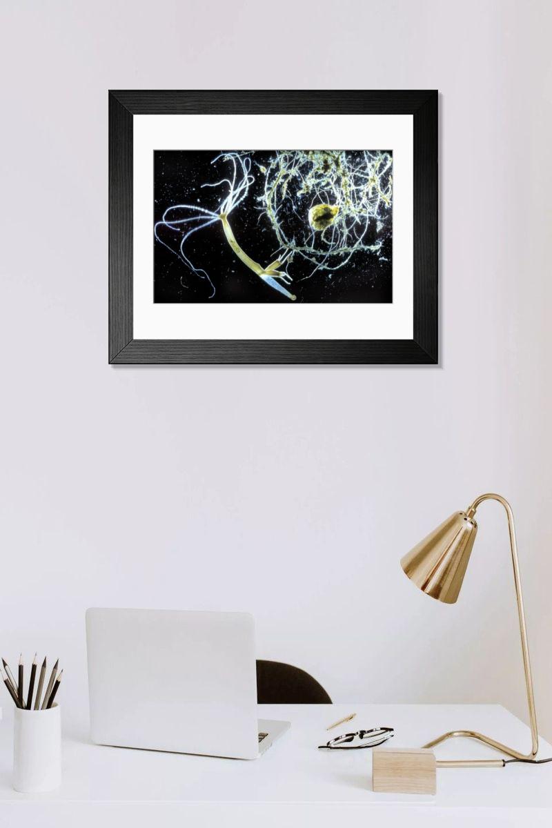 Shown hanging in a room: Modern 14"x12" (36x31cm)