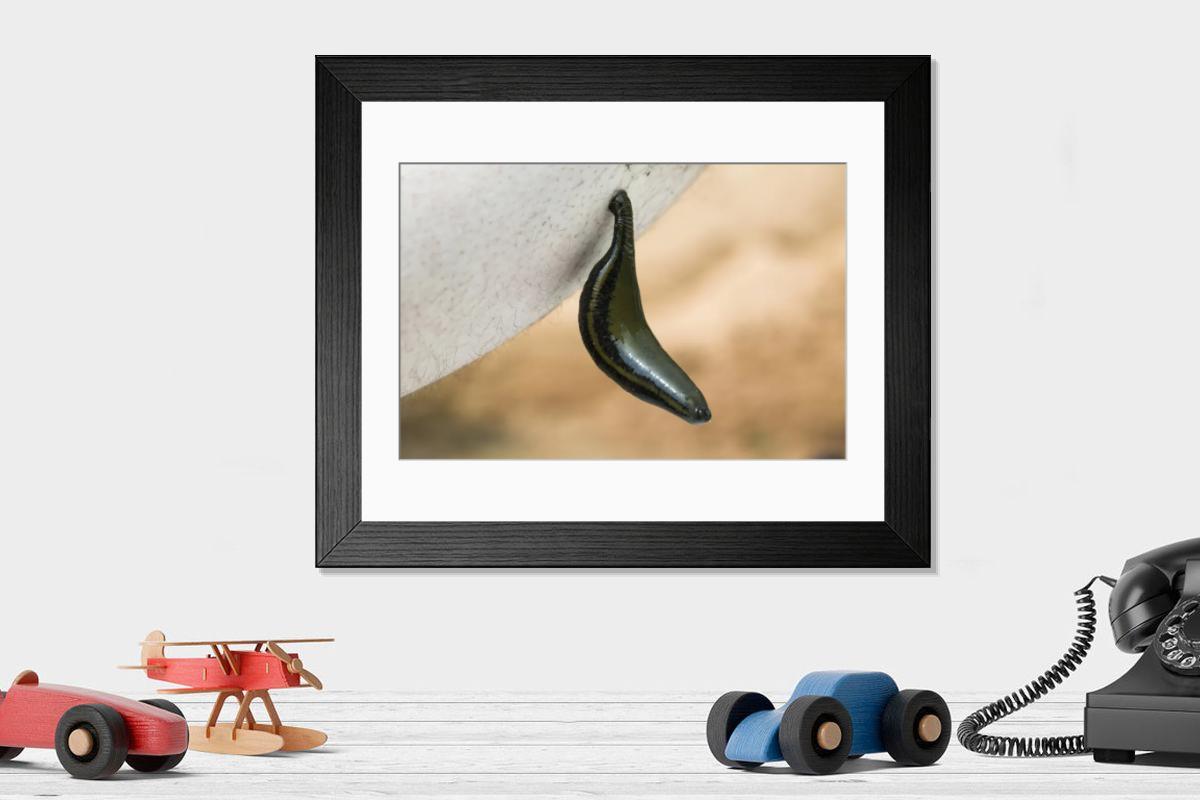 Shown hanging in a room: Modern 14"x12" (36x31cm)