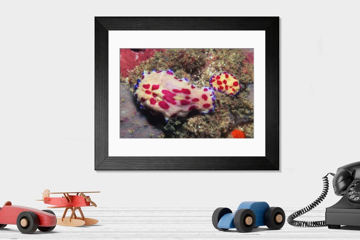 Shown hanging in a room: Modern 14"x12" (36x31cm)