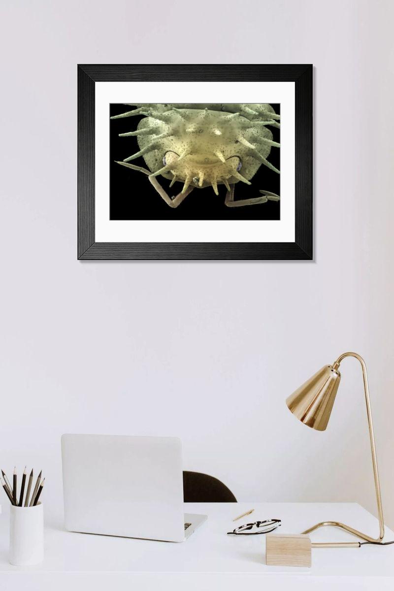 Shown hanging in a room: Modern 14"x12" (36x31cm)
