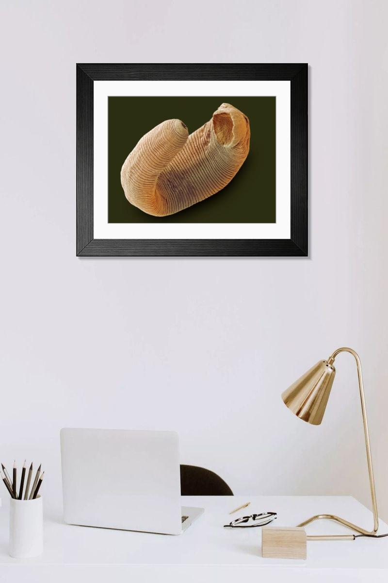 Shown hanging in a room: Modern 14"x12" (36x31cm)