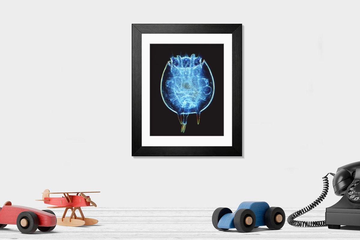 Shown hanging in a room: Modern 14"x12" (36x31cm)