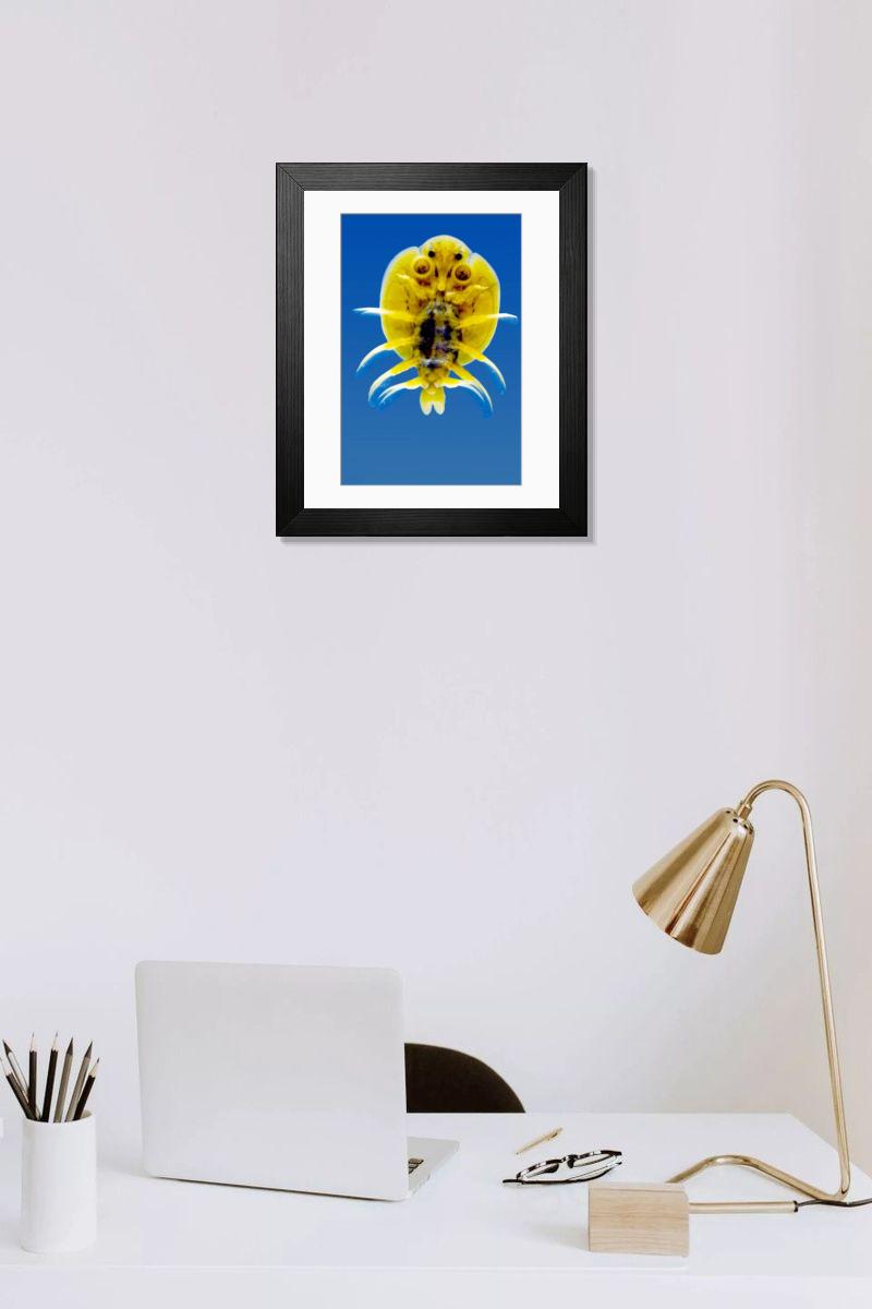 Shown hanging in a room: Modern 14"x12" (36x31cm)