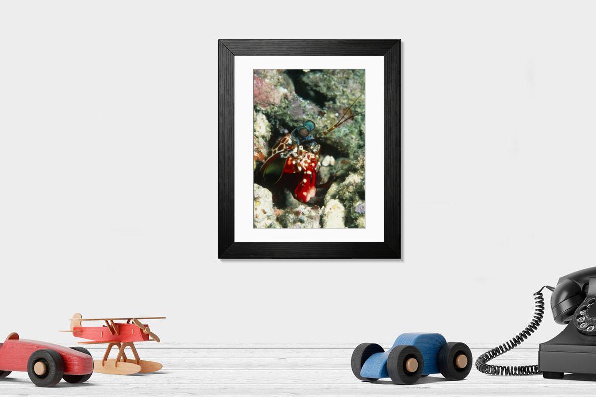 Shown hanging in a room: Modern 14"x12" (36x31cm)
