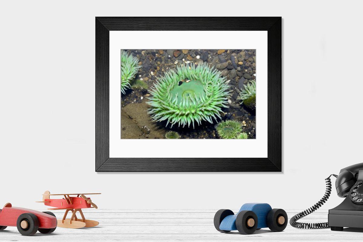 Shown hanging in a room: Modern 14"x12" (36x31cm)