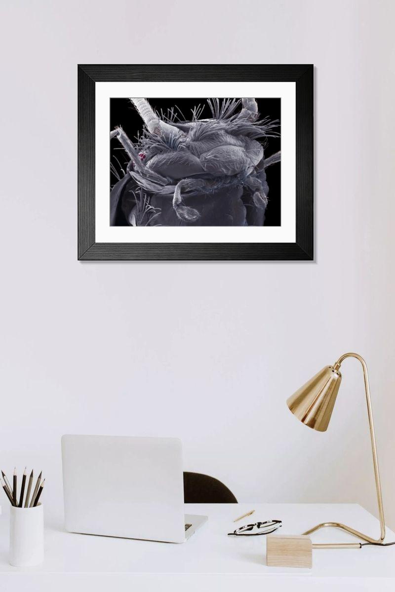 Shown hanging in a room: Modern 14"x12" (36x31cm)