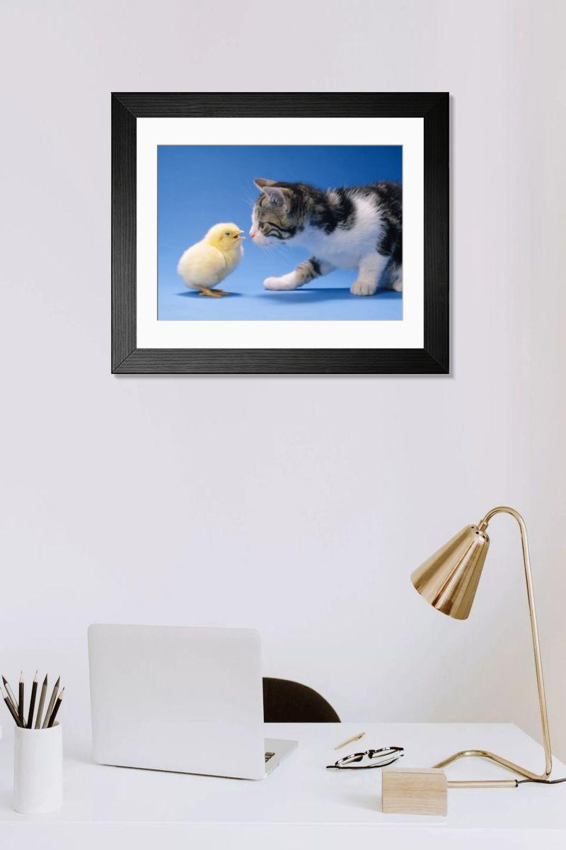 product preview 0
