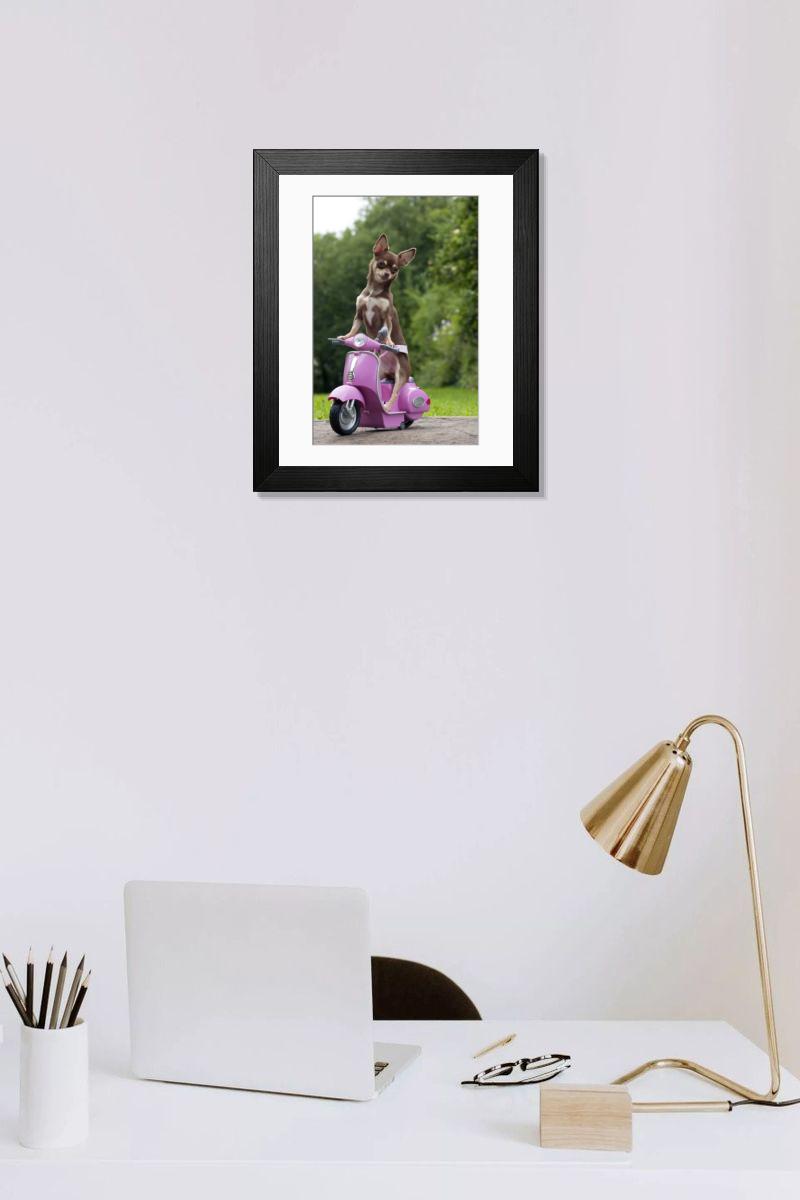 product preview 0