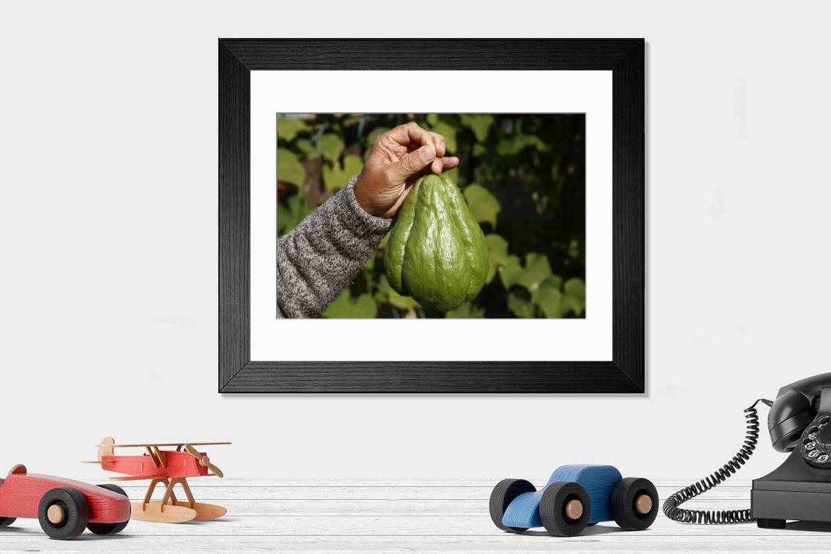 product preview 0