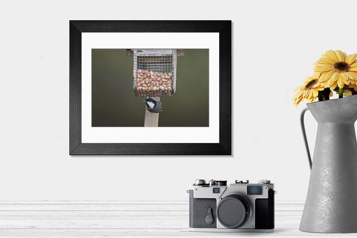 product preview 0