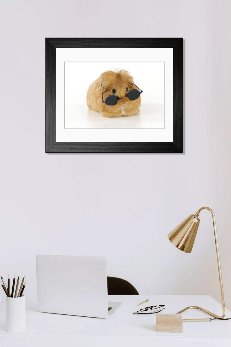 product preview 0