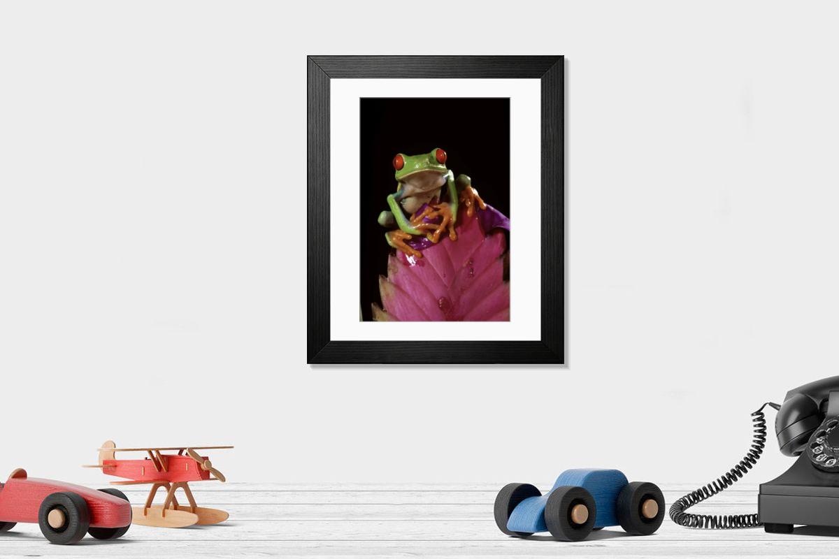 product preview 0
