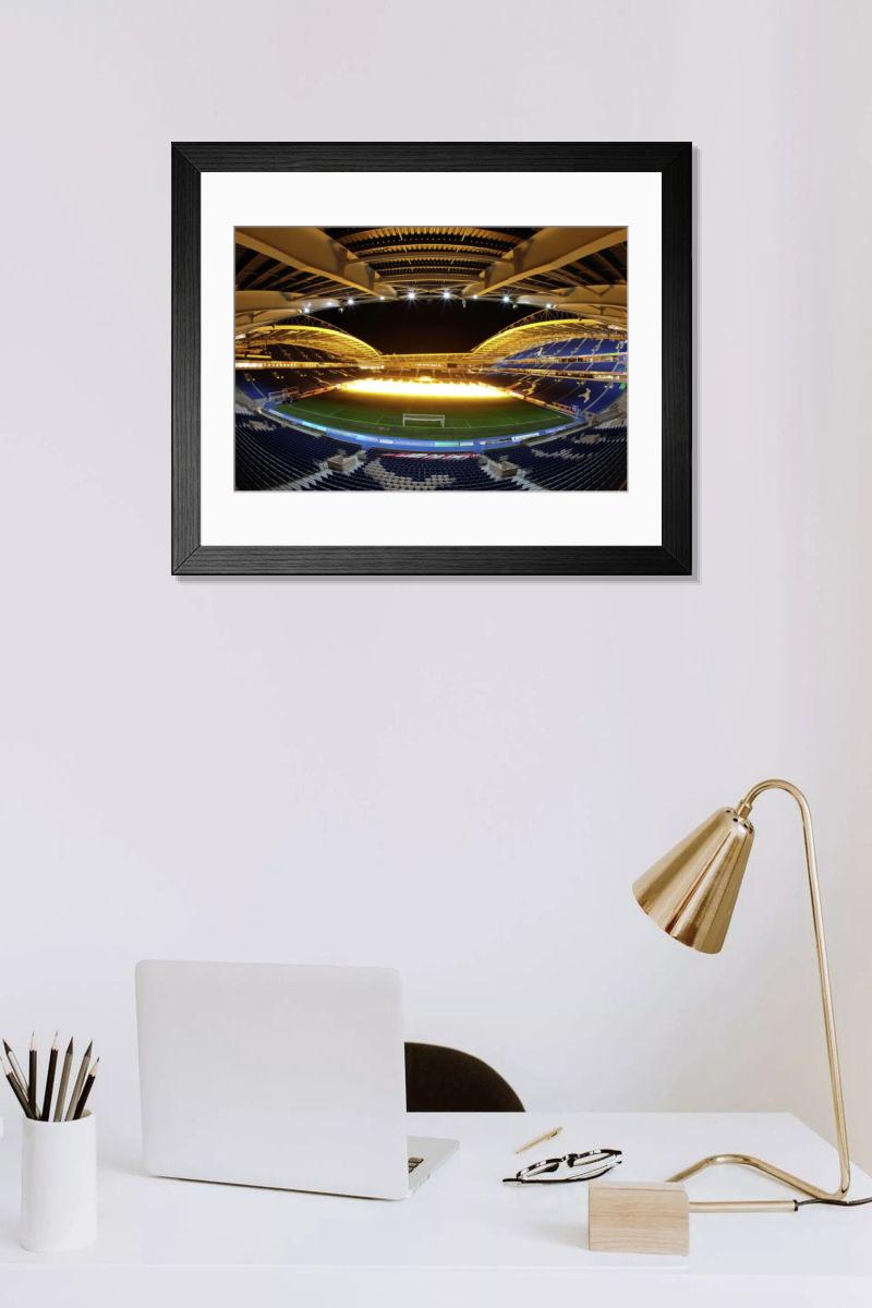 Brighton And Hove Albion The Amex Stadium Print