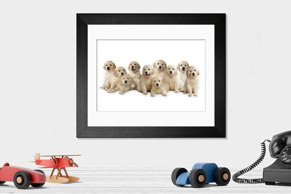 product preview 0