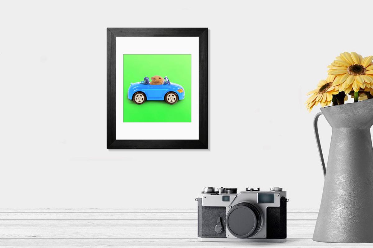 product preview 0