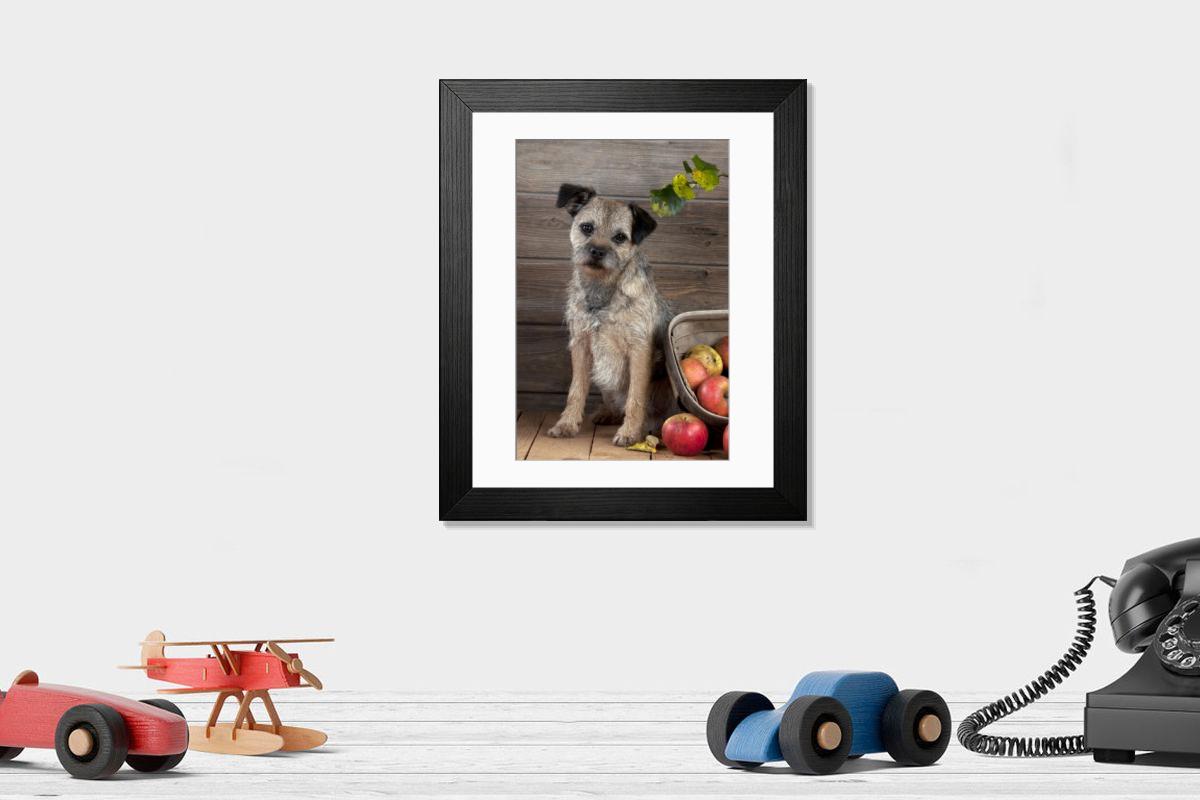 product preview 0