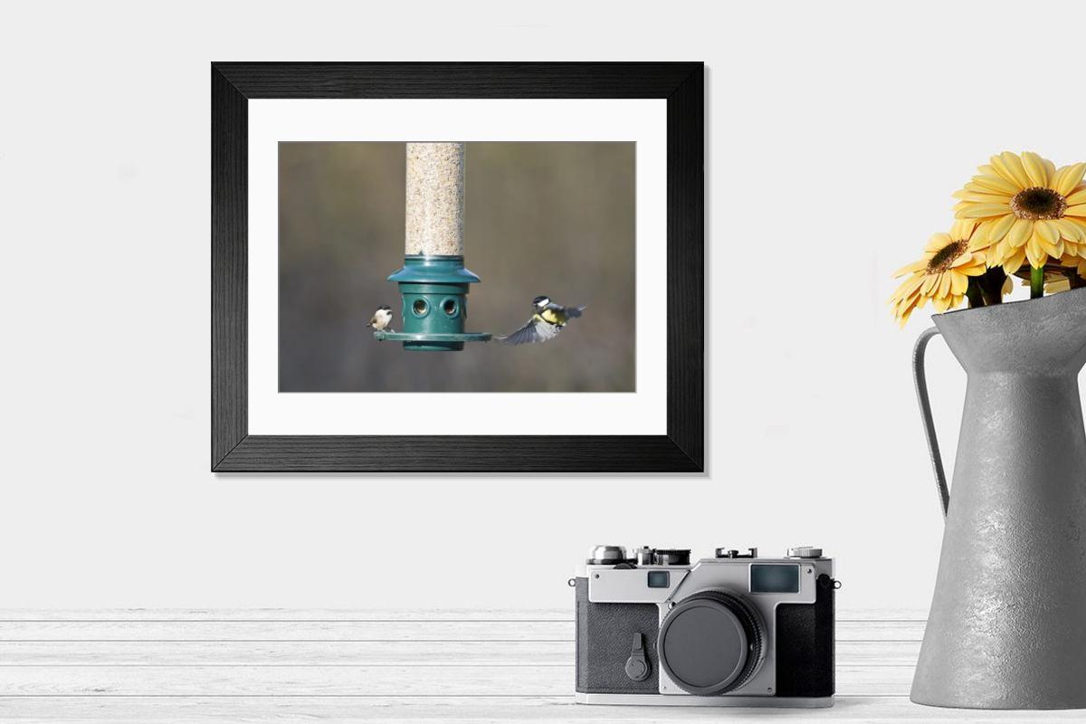 product preview 0