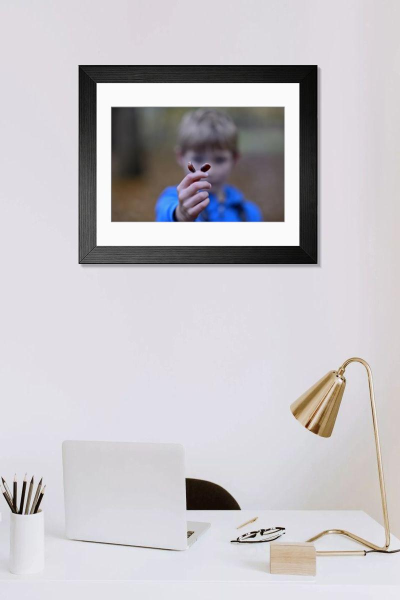 product preview 0