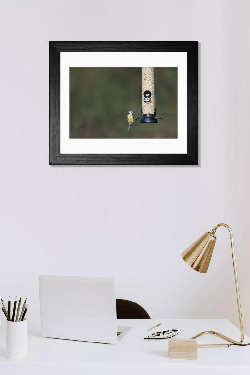 product preview 0