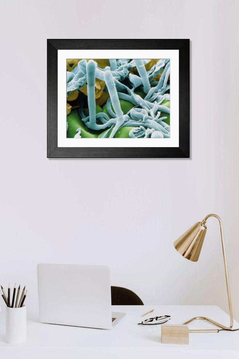 Shown hanging in a room: Modern 14"x12" (36x31cm)