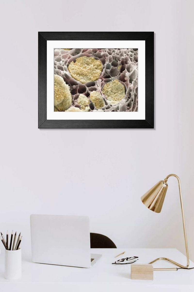 Shown hanging in a room: Modern 14"x12" (36x31cm)