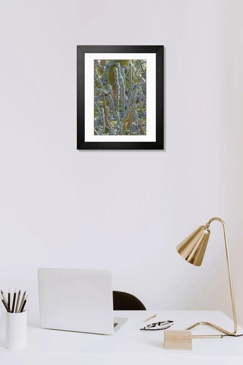 Shown hanging in a room: Modern 14"x12" (36x31cm)