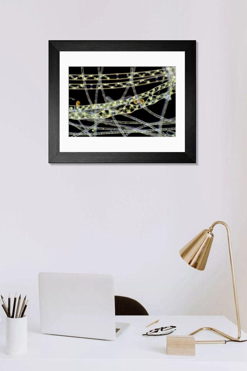 Shown hanging in a room: Modern 14"x12" (36x31cm)