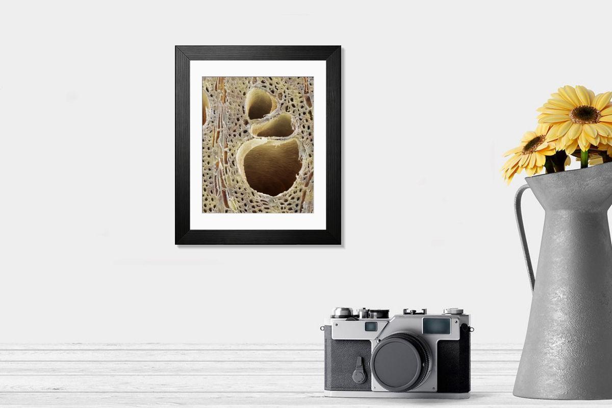 Shown hanging in a room: Modern 14"x12" (36x31cm)