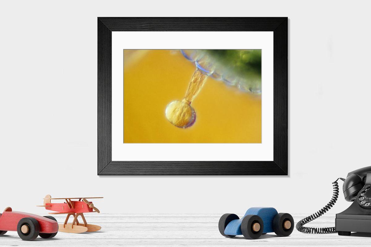 Shown hanging in a room: Modern 14"x12" (36x31cm)