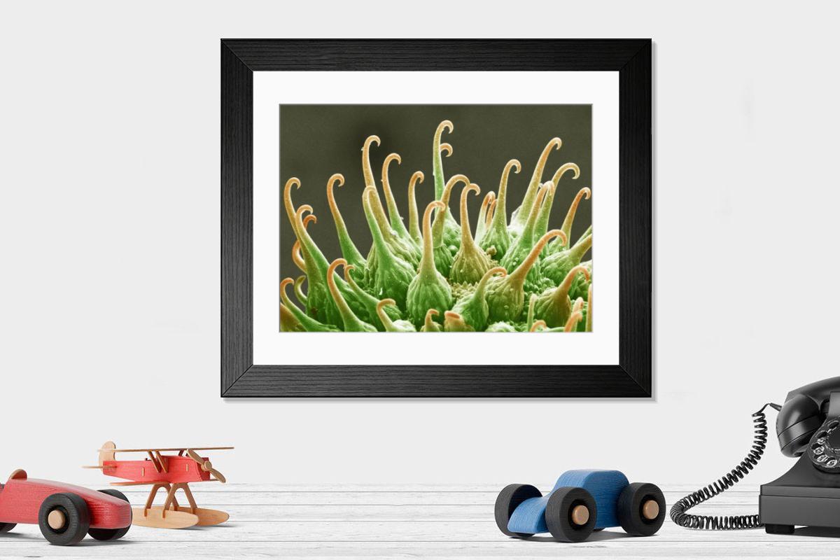 Shown hanging in a room: Modern 14"x12" (36x31cm)