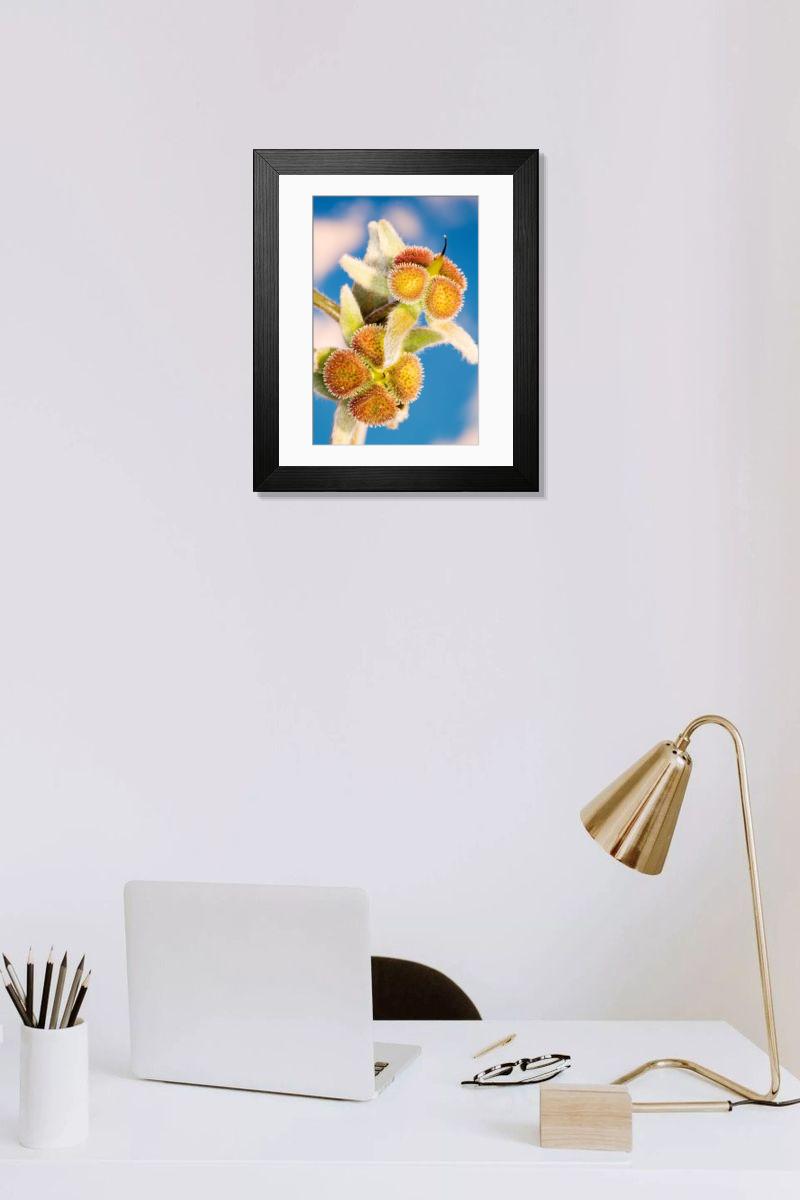 Shown hanging in a room: Modern 14"x12" (36x31cm)