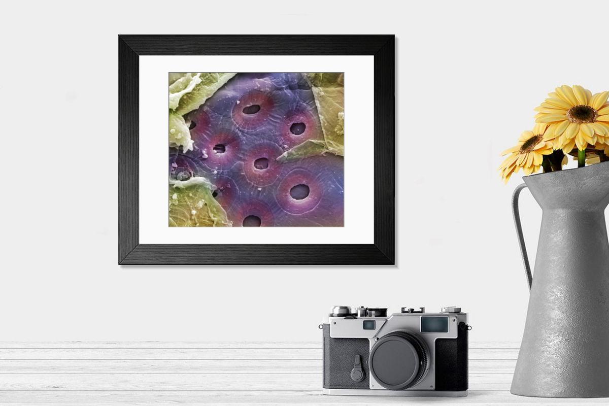 Shown hanging in a room: Modern 14"x12" (36x31cm)