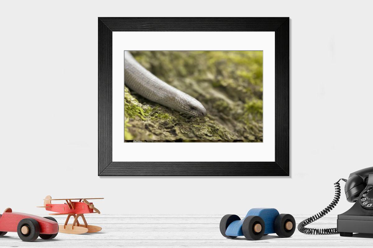 Shown hanging in a room: Modern 14"x12" (36x31cm)
