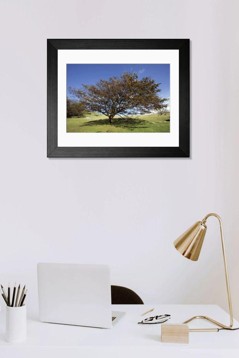 Shown hanging in a room: Modern 14"x12" (36x31cm)