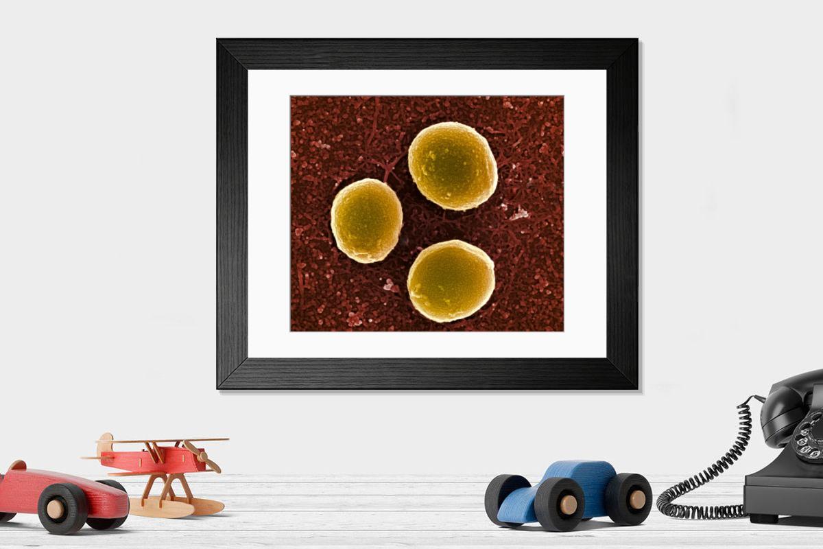 Shown hanging in a room: Modern 14"x12" (36x31cm)