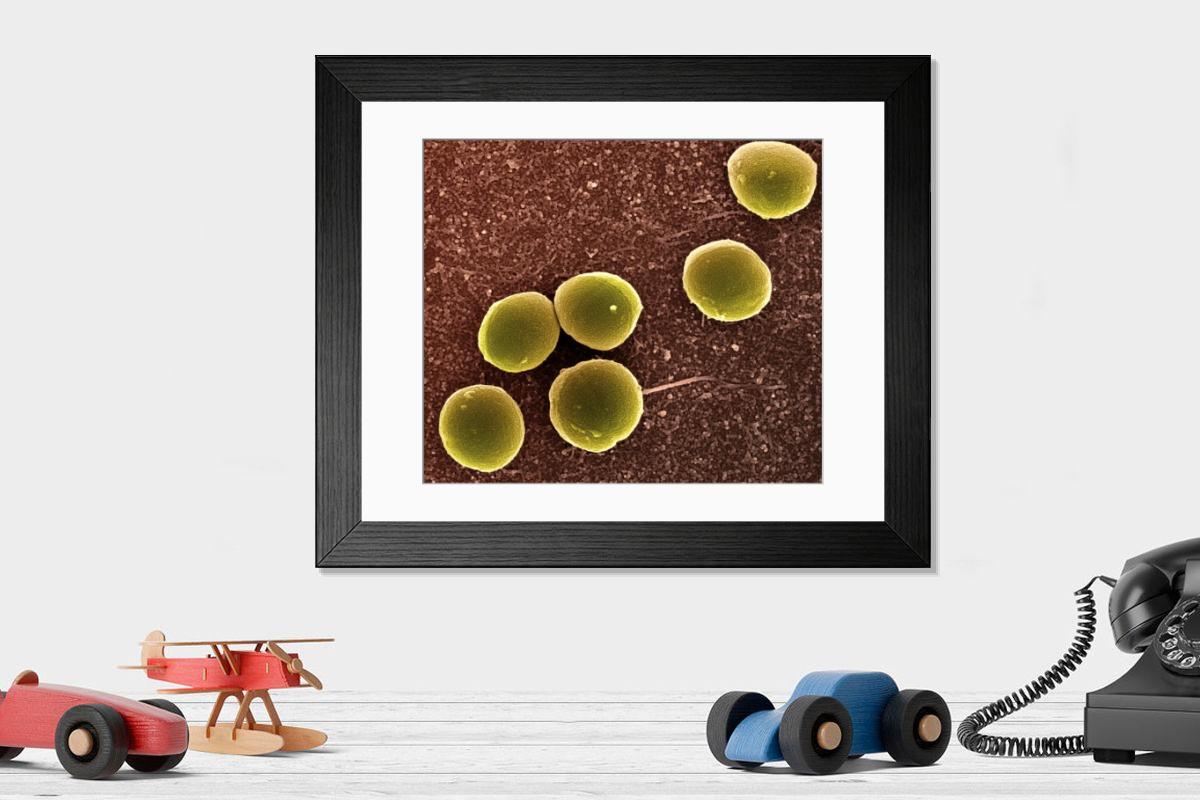 Shown hanging in a room: Modern 14"x12" (36x31cm)