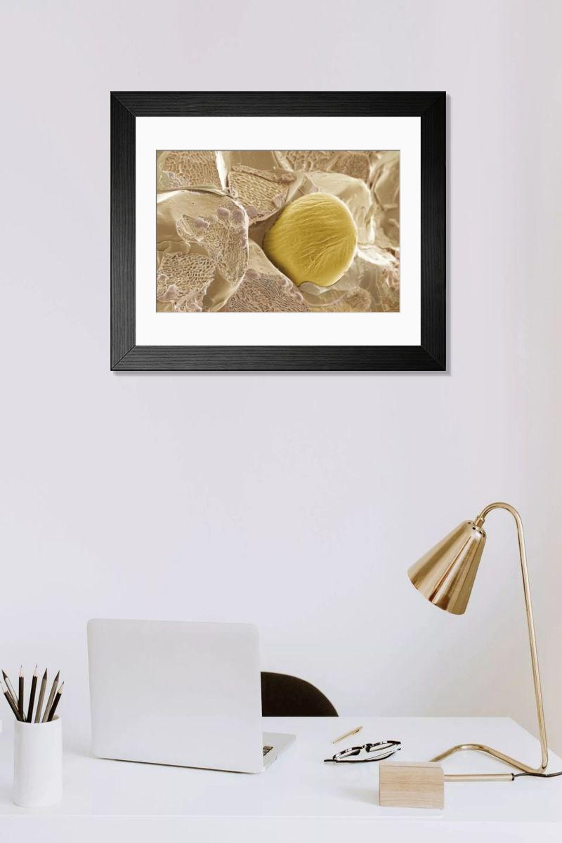 Shown hanging in a room: Modern 14"x12" (36x31cm)