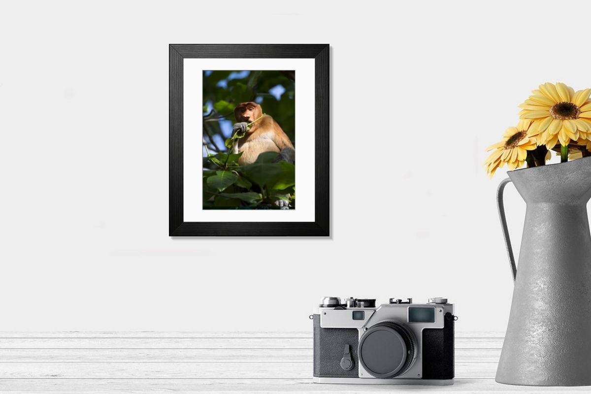 product preview 0