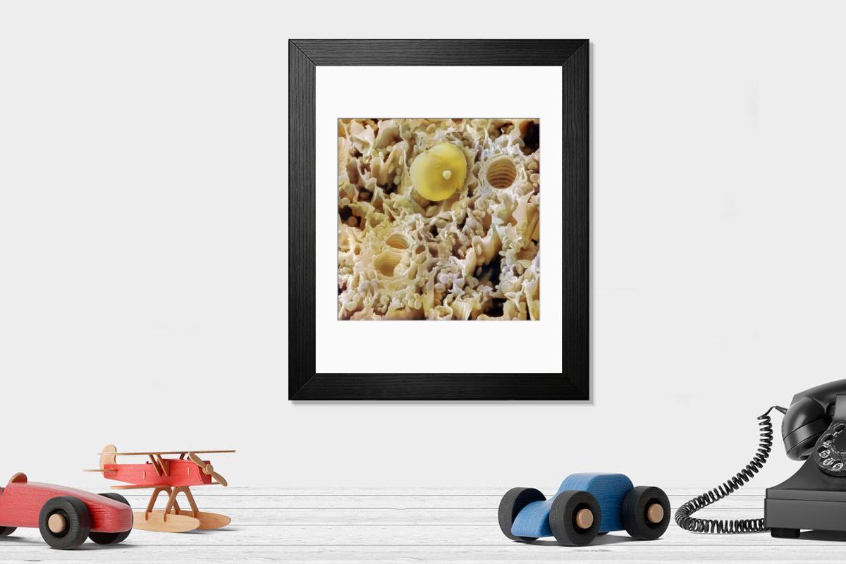 Shown hanging in a room: Modern 14"x12" (36x31cm)